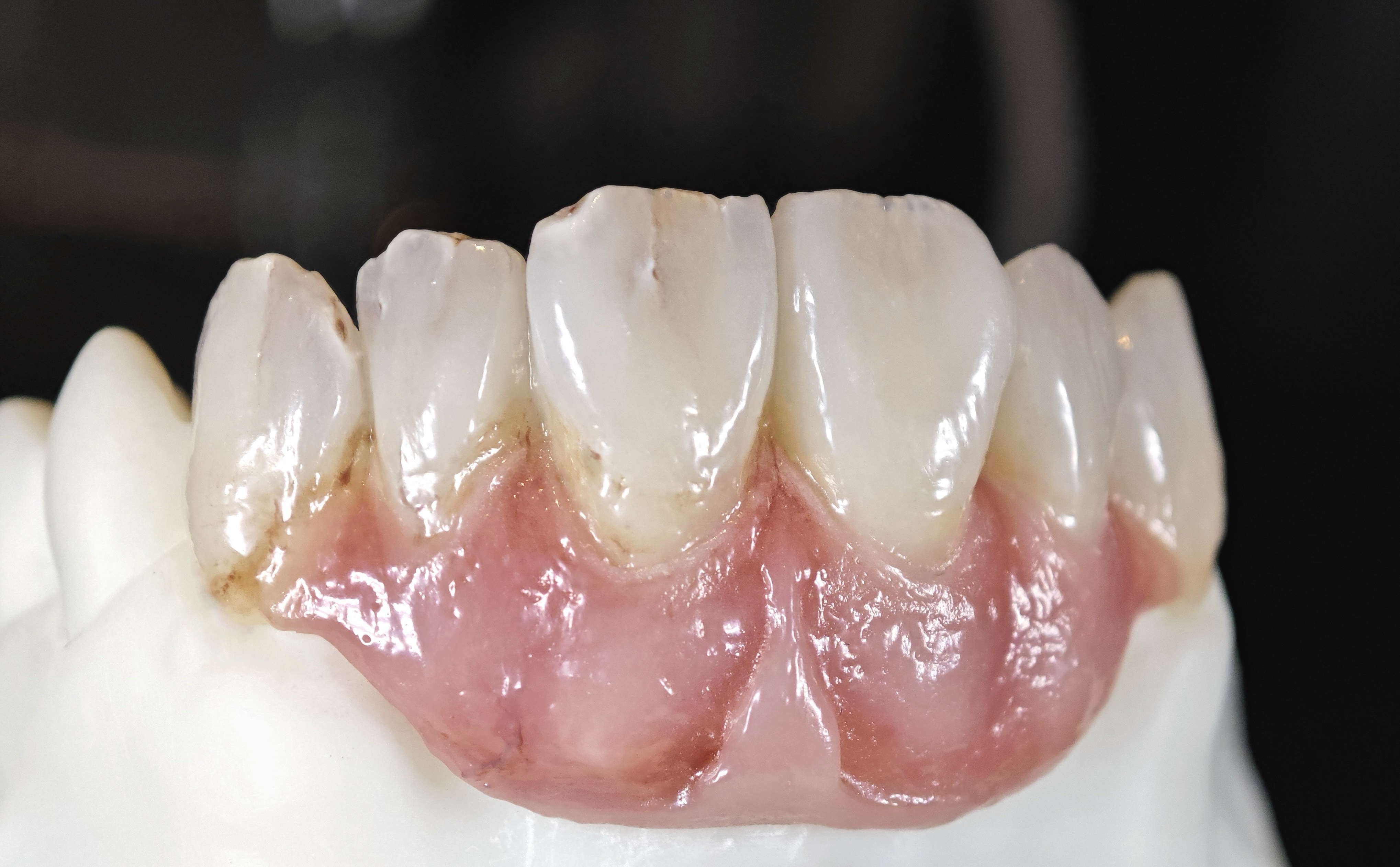Практический курс «Teeth&Tissue» 